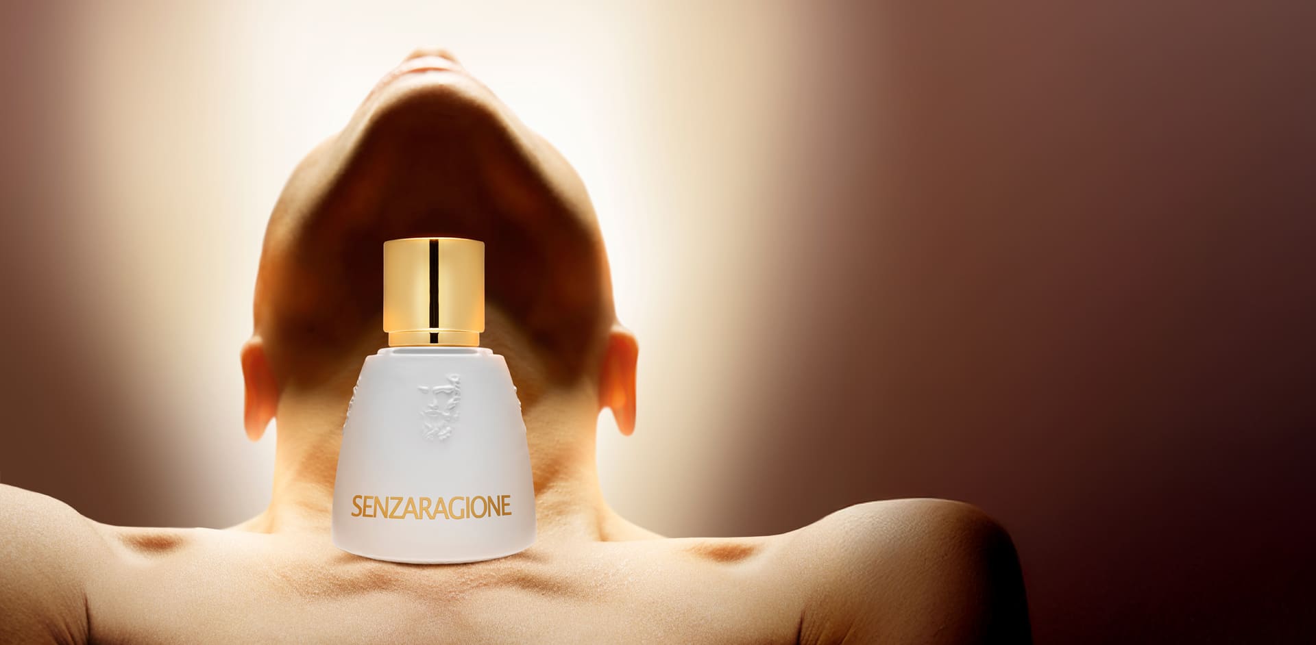 Senzaragione